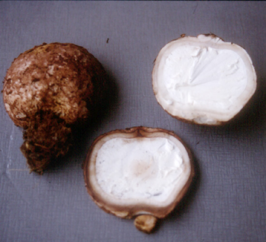 Aiuto identificazione